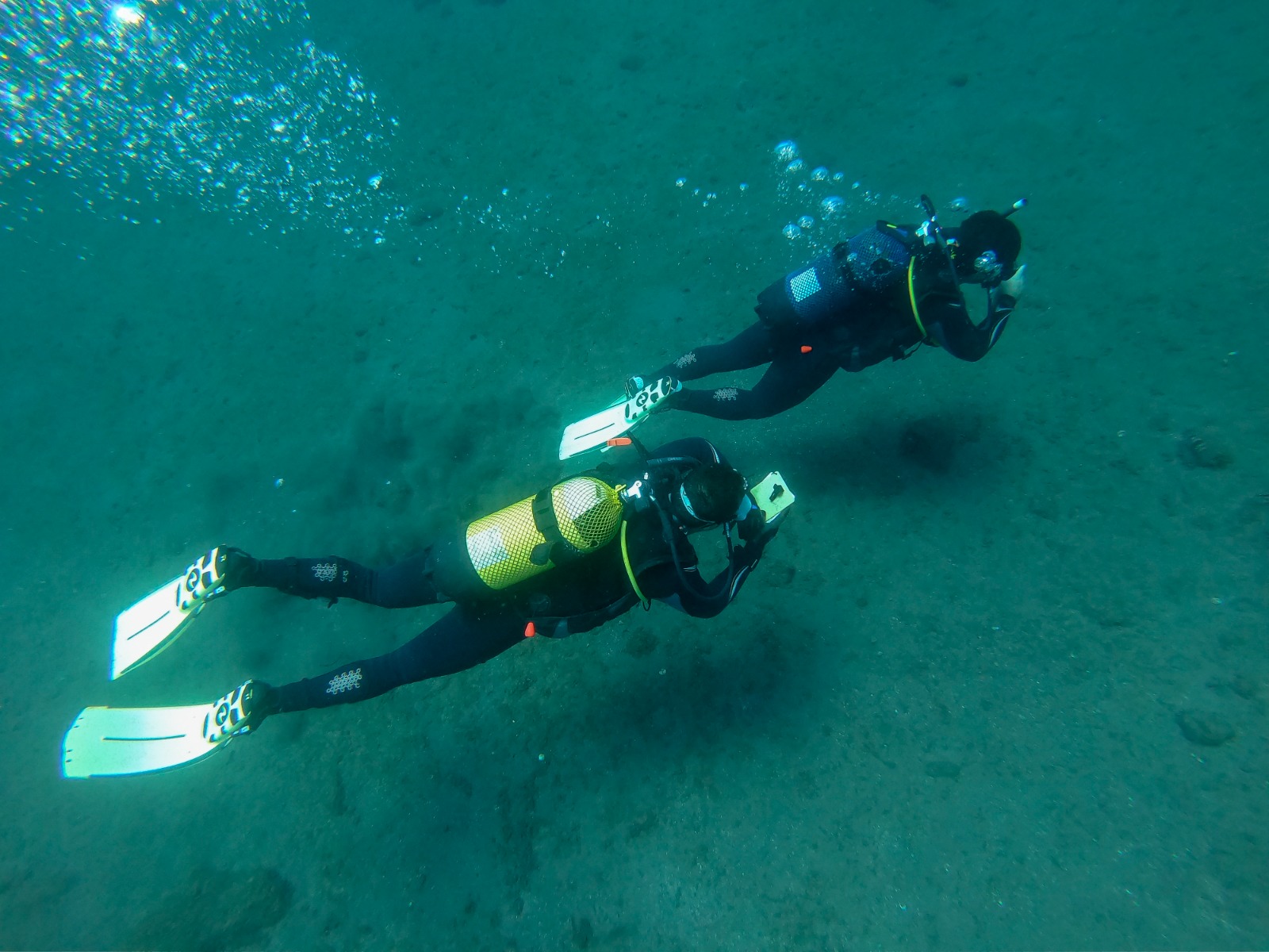 Buceo recreativo en Tenerife y elección responsable del equipo